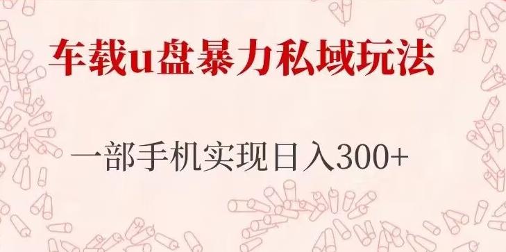 车载u盘暴力私域玩法，长期项目，仅需一部手机实现日入300+-时光论坛