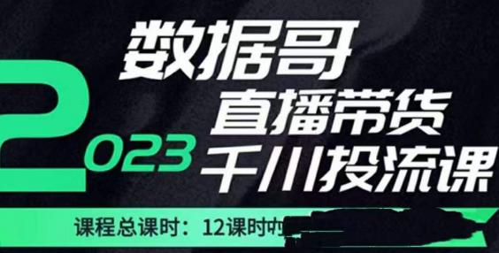 数据哥2023直播电商巨量千川付费投流实操课，快速掌握直播带货运营投放策略-时光论坛