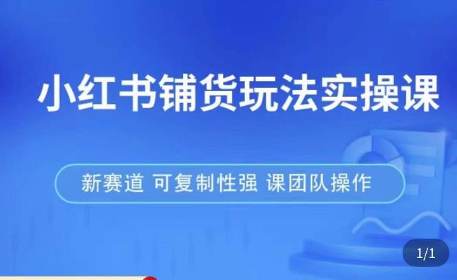 小红书铺货玩法实操课，流量大，竞争小，非常好做，新赛道，可复制性强，可团队操作-时光论坛