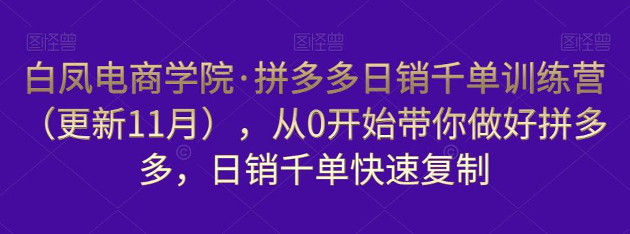 白凤电商学院·拼多多日销千单训练营，从0开始带你做好拼多多，日销千单快速复制（更新知2023年3月）-时光论坛