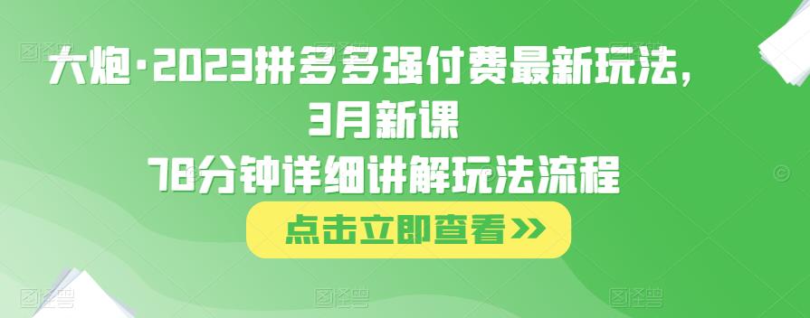 大炮·2023拼多多强付费最新玩法，3月新课​78分钟详细讲解玩法流程-时光论坛