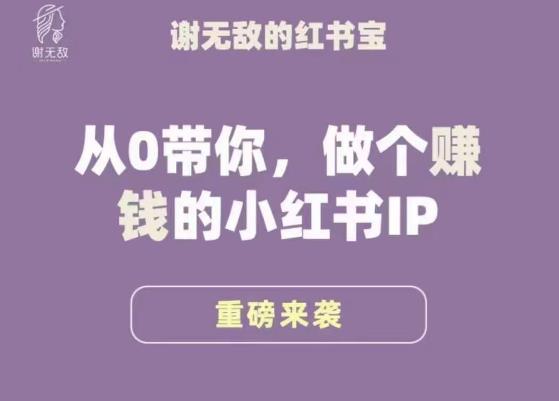 谢无敌·小红书运营大宝典，从0带你做个赚钱的小红书IP-时光论坛