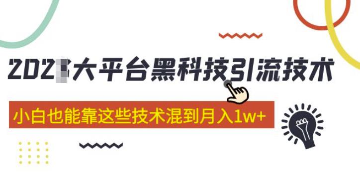 大平台黑科技引流技术，小白也能靠这些技术混到月入1w+(2022年的课程）-时光论坛