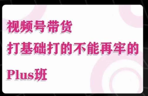 大播汇·视频号带货Puls班，视频号底层逻辑，起号自然流鱼塘等玩法-时光论坛