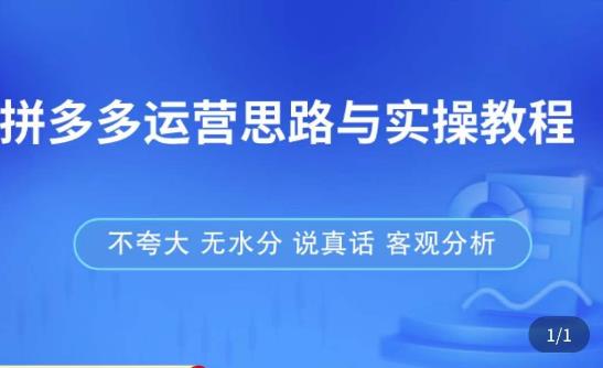 拼多多店铺运营思路与实操教程，快速学会拼多多开店和运营，少踩坑，多盈利-时光论坛