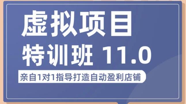 陆明明·虚拟项目特训班（10.0+11.0），0成本获取虚拟素材，0基础打造自动盈利店铺-时光论坛