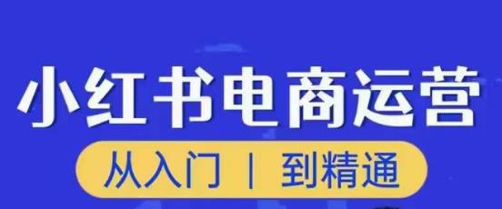 顽石小红书电商高阶运营课程，从入门到精通，玩法流程持续更新-时光论坛