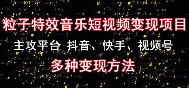 黄岛主《粒子特效音乐短视频变现项目》主攻平台抖音、快手、视频号多种变现方法-时光论坛