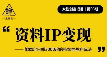 资料IP变现，能稳定日赚3000起的持续性盈利玩法-时光论坛