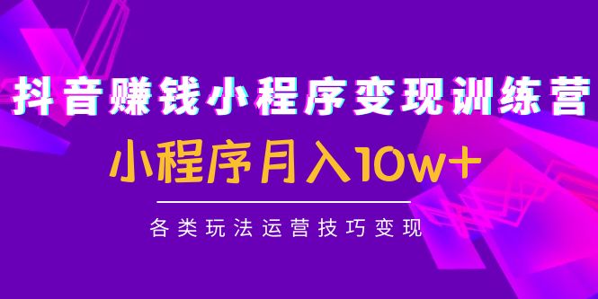 抖音赚钱小程序变现训练营：小程序月入10w+各类玩法运营技巧变现-时光论坛