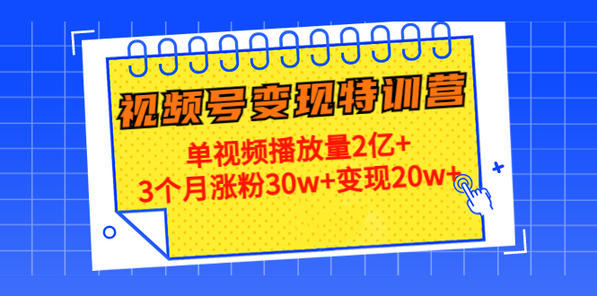 21天视频号变现特训营：单视频播放量2亿+3个月涨粉30w+变现20w+-时光论坛