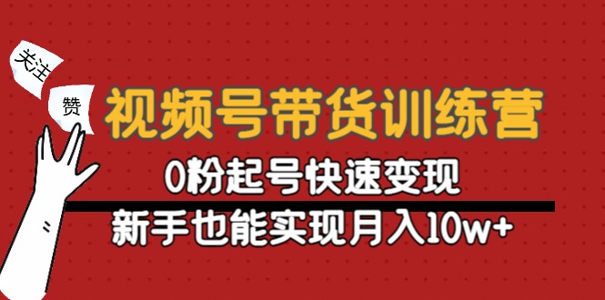 视频号带货训练营：0粉起号快速变现，新手也能实现月入10w+-时光论坛