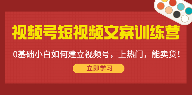 视频号短视频文案训练营：0基础小白如何建立视频号，上热门，能卖货！-时光论坛