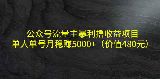 公众号流量主暴利撸收益项目，单人单号月稳赚5000+（价值480元）-时光论坛