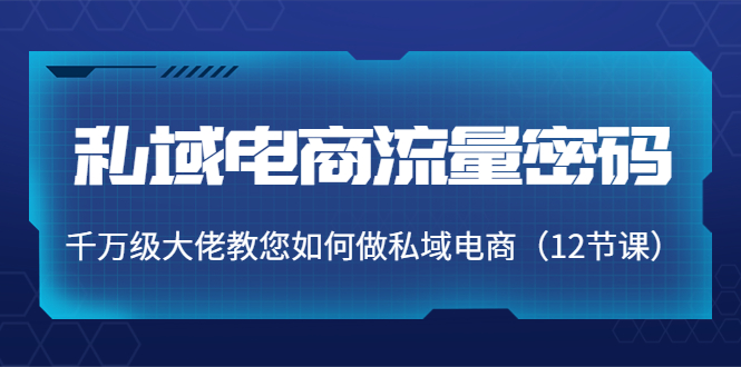私域电商流量密码：千万级大佬教您如何做私域电商（12节课）-时光论坛
