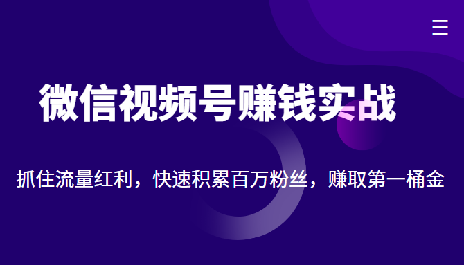 微信视频号赚钱实战：抓住流量红利，快速积累百万粉丝，赚取你的第一桶金-时光论坛