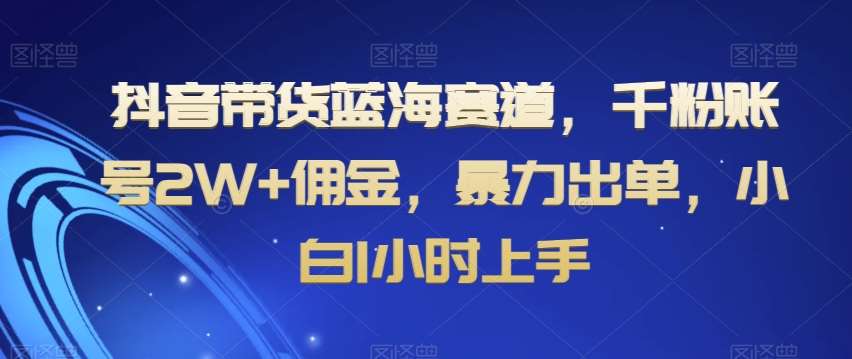 抖音带货蓝海赛道，千粉账号2W+佣金，暴力出单，小白1小时上手【揭秘】-时光论坛