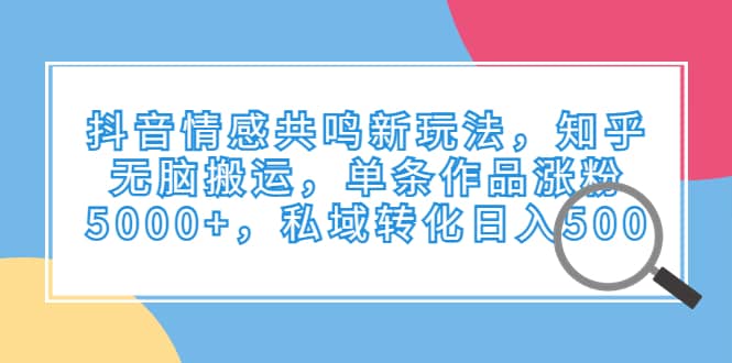 抖音情感共鸣新玩法，知乎无脑搬运，单条作品涨粉5000+，私域转化日入500-时光论坛