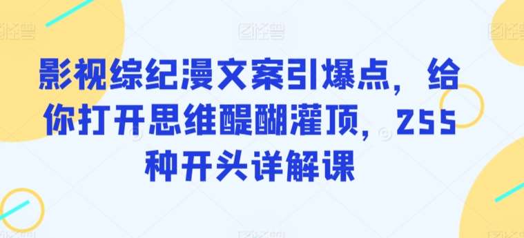 影视综纪漫文案引爆点，给你打开思维醍醐灌顶，255种开头详解课-时光论坛