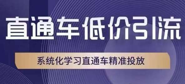 直通车低价引流课，系统化学习直通车精准投放-时光论坛