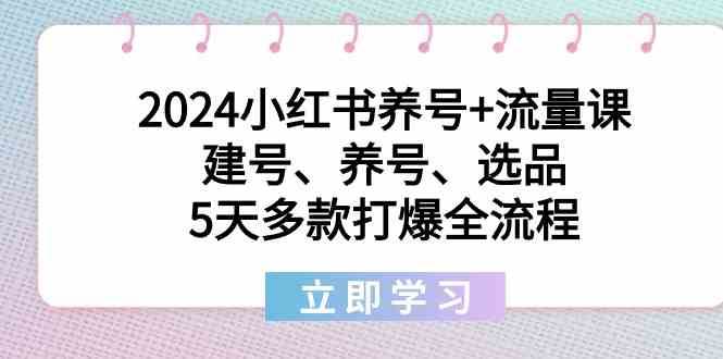 2024小红书养号+流量课：建号、养号、选品，5天多款打爆全流程-时光论坛