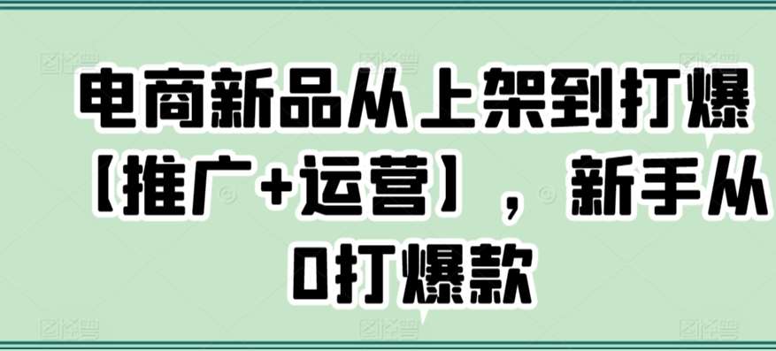 电商新品从上架到打爆【推广+运营】，新手从0打爆款-时光论坛