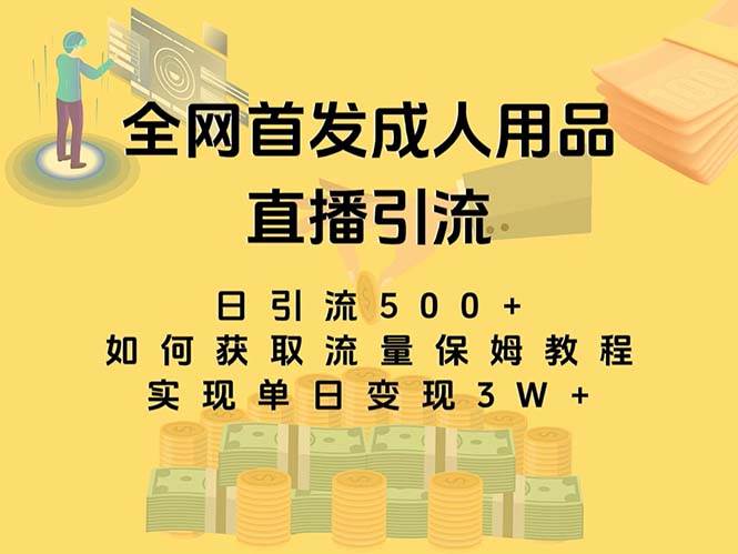 （8193期）最新全网独创首发，成人用品直播引流获客暴力玩法，单日变现3w保姆级教程-时光论坛