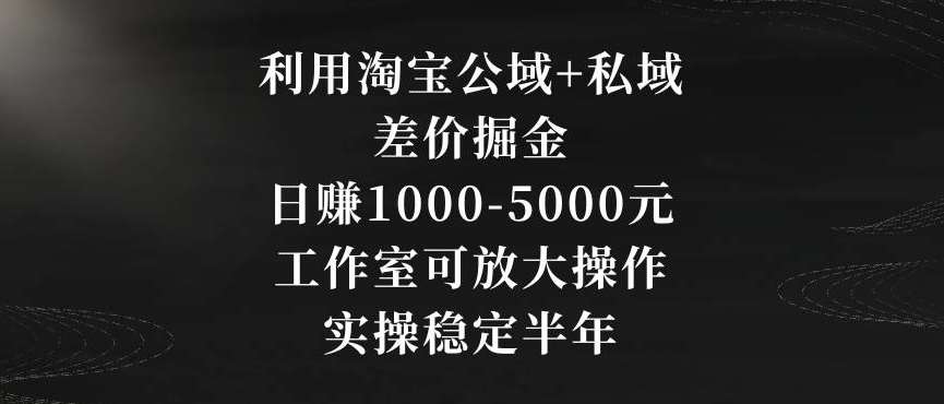 利用淘宝公域+私域差价掘金，日赚1000-5000元，工作室可放大操作，实操稳定半年【揭秘】-时光论坛