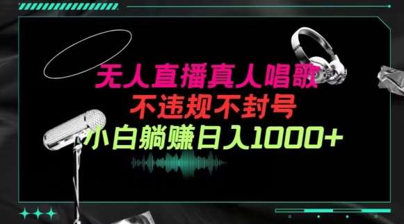 抖音24小时无人直播音乐，不违规，不封号纯撸音浪，小白实操当天日入1000+【揭秘】-时光论坛