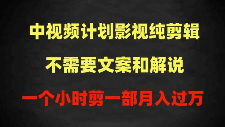 中视频计划影视纯剪辑，不需要文案和解说，一个小时剪一部，100%过原创月入过万【揭秘】-时光论坛