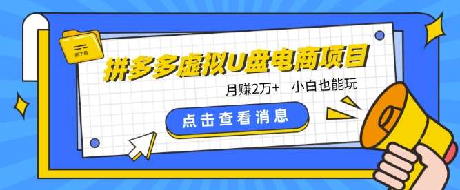拼多多虚拟U盘电商红利项目：月赚2万+，新手小白也能玩-时光论坛