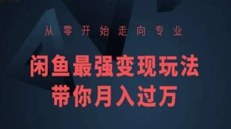 从零开始走向专业，闲鱼最强变现玩法带你月入过万-时光论坛