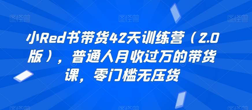 小Red书带货42天训练营（2.0版），普通人月收过万的带货课，零门槛无压货-时光论坛