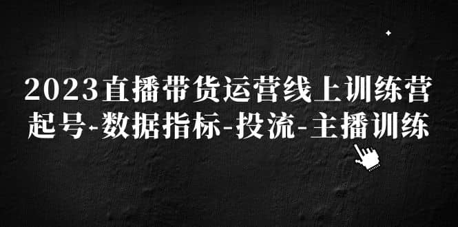 2023直播带货运营线上训练营，起号-数据指标-投流-主播训练-时光论坛