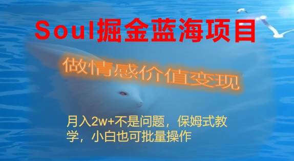 （8531期）Soul掘金蓝海项目细分赛道，做情感价值变现，月入2w+不是问题-时光论坛