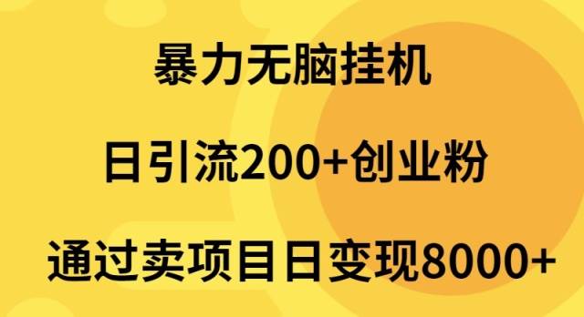 （9788期）暴力无脑挂机日引流200+创业粉通过卖项目日变现2000+-时光论坛