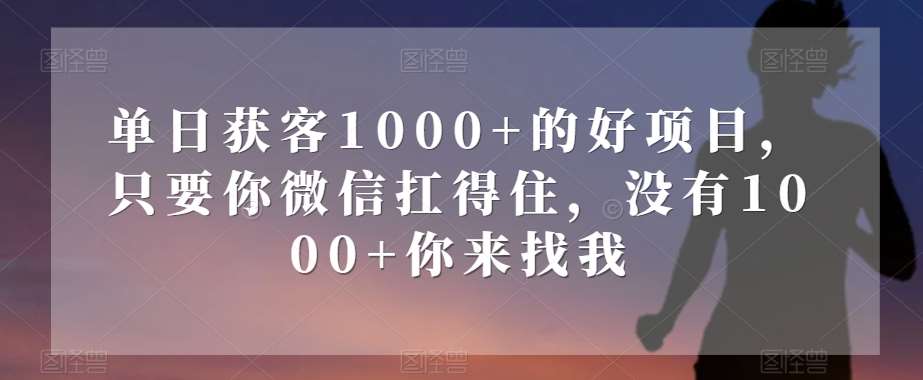 单日获客1000+的好项目，只要你微信扛得住，没有1000+你来找我【揭秘】-时光论坛