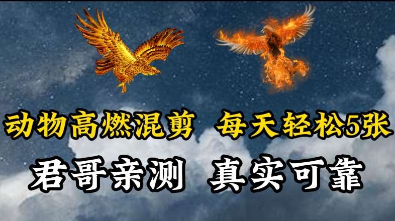 动物超燃混剪，每天轻松5张，剪辑简单大家爱看【揭秘】-时光论坛