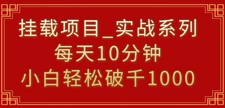 挂载项目，小白轻松破1000，每天10分钟，实战系列保姆级教程【揭秘】-时光论坛