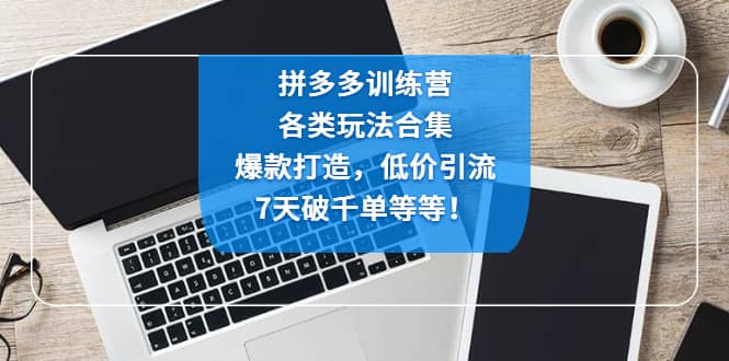 拼多多训练营：各玩法合集，爆款打造，低价引流，7天破千单等等-时光论坛