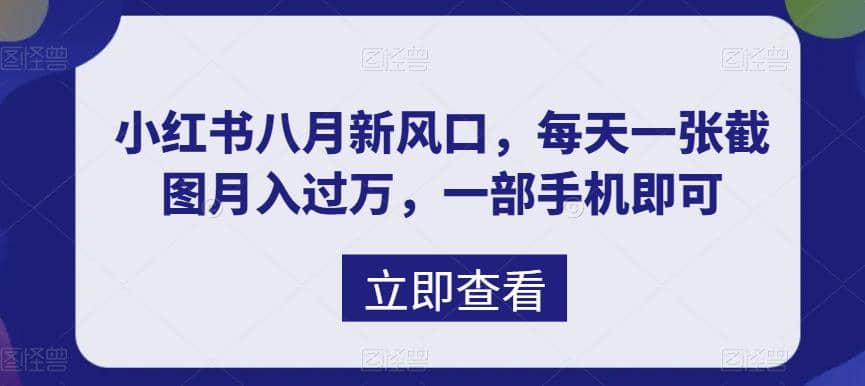 八月新风口，小红书虚拟项目一天收入1000+，实战揭秘-时光论坛