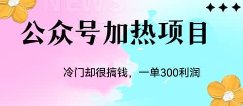 冷门公众号加热项目，一单利润300+-时光论坛