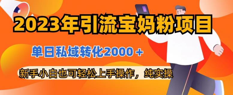 2023年引流宝妈粉项目，单日私域转化2000＋，新手小白也可轻松上手操作，纯实操-时光论坛