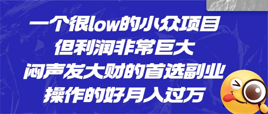 一个很low的小众项目，但利润非常巨大，闷声发大财的首选副业，月入过万-时光论坛