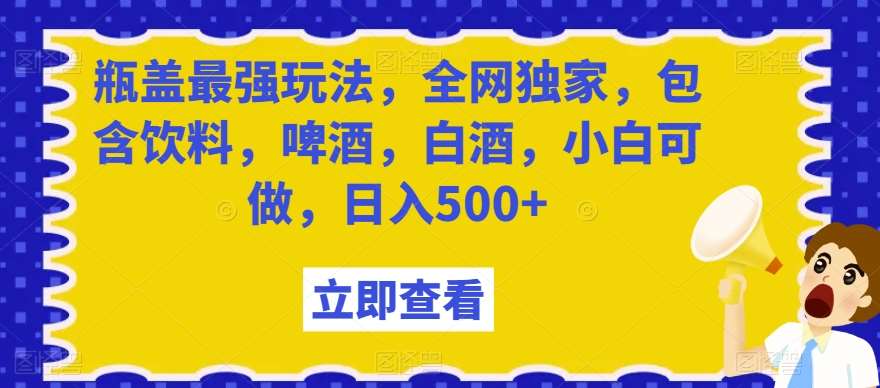 瓶盖最强玩法，全网独家，包含饮料，啤酒，白酒，小白可做，日入500+【揭秘】-时光论坛