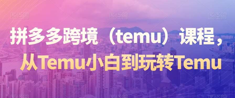 拼多多跨境（temu）课程，从Temu小白到玩转Temu-时光论坛