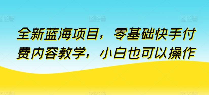 全新蓝海项目，零基础快手付费内容教学，小白也可以操作【揭秘】-时光论坛