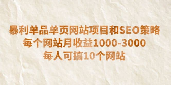 暴利单品单页网站项目和SEO策略 每个网站月收益1000-3000 每人可搞10个-时光论坛