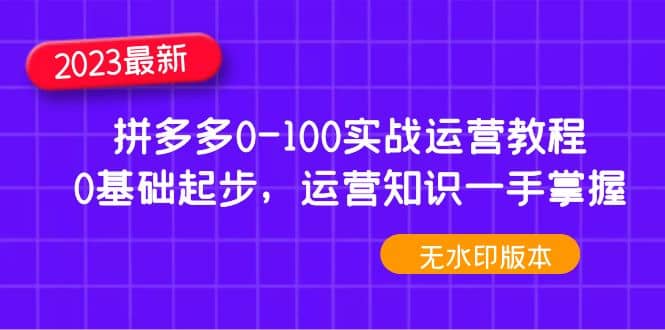 2023拼多多0-100实战运营教程，0基础起步，运营知识一手掌握（无水印）-时光论坛