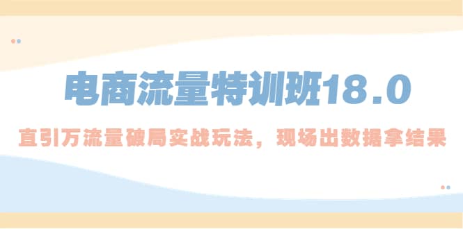 电商流量特训班18.0，直引万流量破局实操玩法，现场出数据拿结果-时光论坛